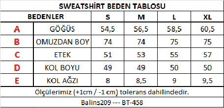 BALİNS-209-BT458TABLO.png (10 KB)