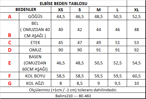 BALİNS210-BE-463-ÖLÇÜTABLOSU.png (12 KB)