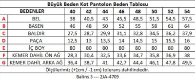 Büyük Beden Kadın Jean Gri - Thumbnail