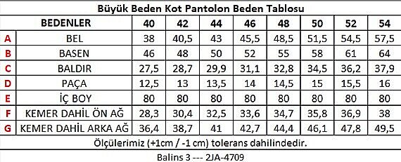 Büyük Beden Kadın Jean Koyu Mavi - 5