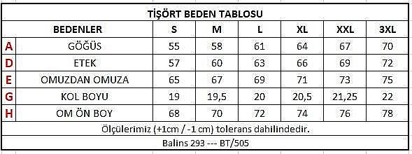 Büyük Beden Kadın V Yaka Süprem Tişört Gri - 3