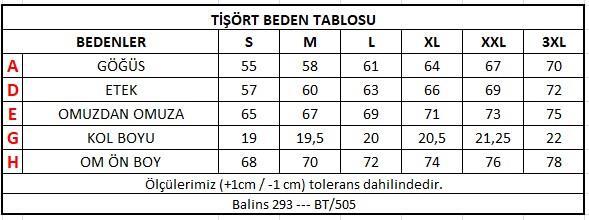 Büyük Beden Kadın V Yaka Süprem Tişört - 3