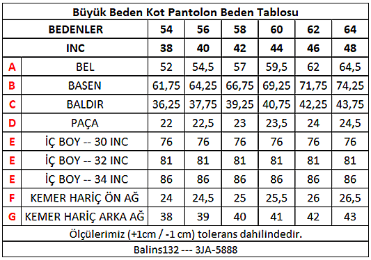 Erkek Büyük Beden Pantolon Açık Mavi - 3