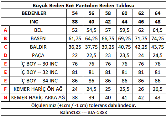 Erkek Büyük Beden Pantolon YprtMavi - 3