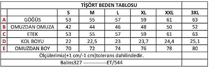 Erkek Koton V Yaka Kısa Kollu Tişört - 3