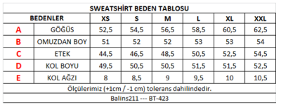 Kadın 2 İplik Degaje Yaka Sweatshirt - Thumbnail