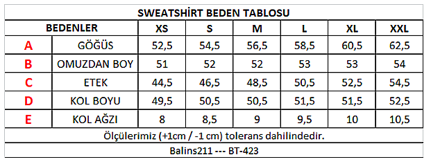 Kadın 2 İplik Degaje Yaka Sweatshirt Turkuaz - 3