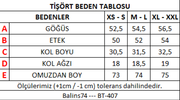 Kadın Baskılı Tshirt Mavi Kadın Baskılı Tshirt Mavi