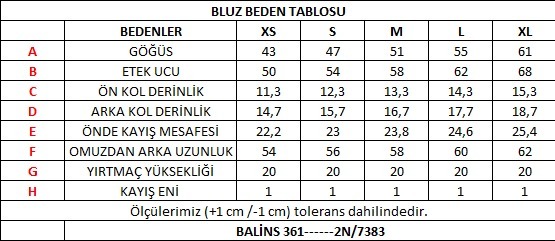 KADIN BLUZ MAVİ - 4