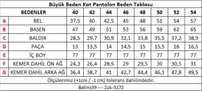 Kadın Büyük Beden Kot Pantolon Gri - Thumbnail