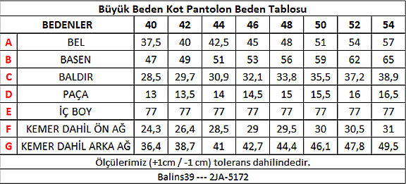 Kadın Büyük Beden Kot Pantolon Gri - 3