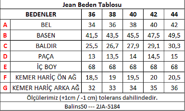Kadın Düz Çizgili Pantolon DüzÇizgili - 3