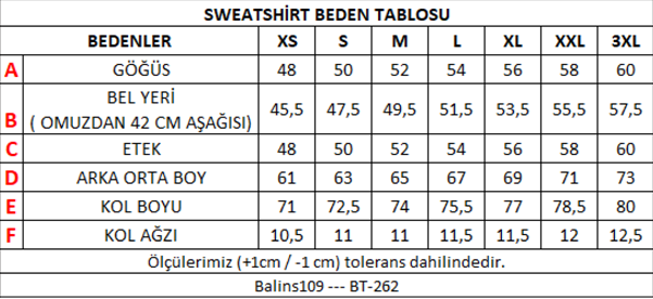 Kadın Kapüşonlu Sweatshirt Saks Kadın Kapüşonlu Sweatshirt Saks