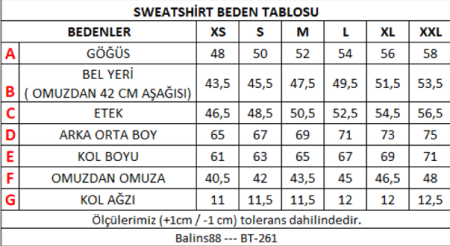Kadın Kol Fermuarlı Sweatshirt Pembe - 3