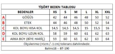 Kadın Süprem Kısa Kollu Tişört Gri - Thumbnail