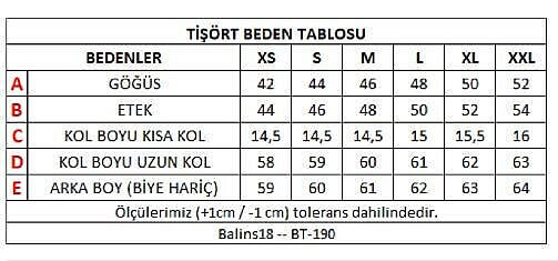 Kadın Süprem Kısa Kollu Tişört Gri - 3