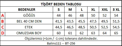 Kadın Yaka Dantel Detaylı Süprem Tişört Bordo - Thumbnail